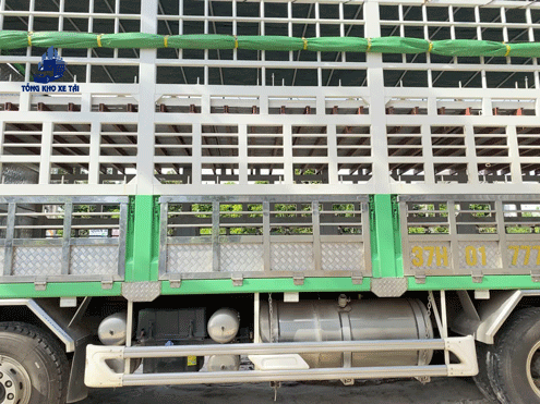 thùng xe tải 4 chân chở trâu bò
